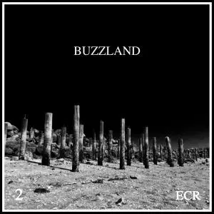 David Paul Mesler - Buzzland 2 (2020)