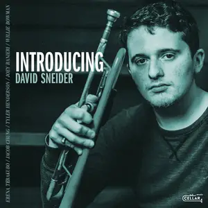 David Sneider - Introducing (2025) [Official Digital Download 24/96]