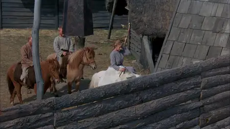Prince of Jutland (1994)