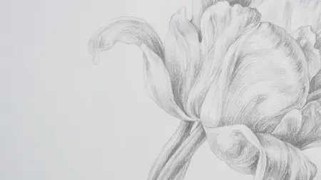 Foundations Of Drawing:  The Complete Beginner'S Course 1