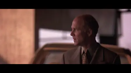 The Fan (1996)