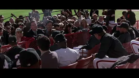 The Fan (1996)