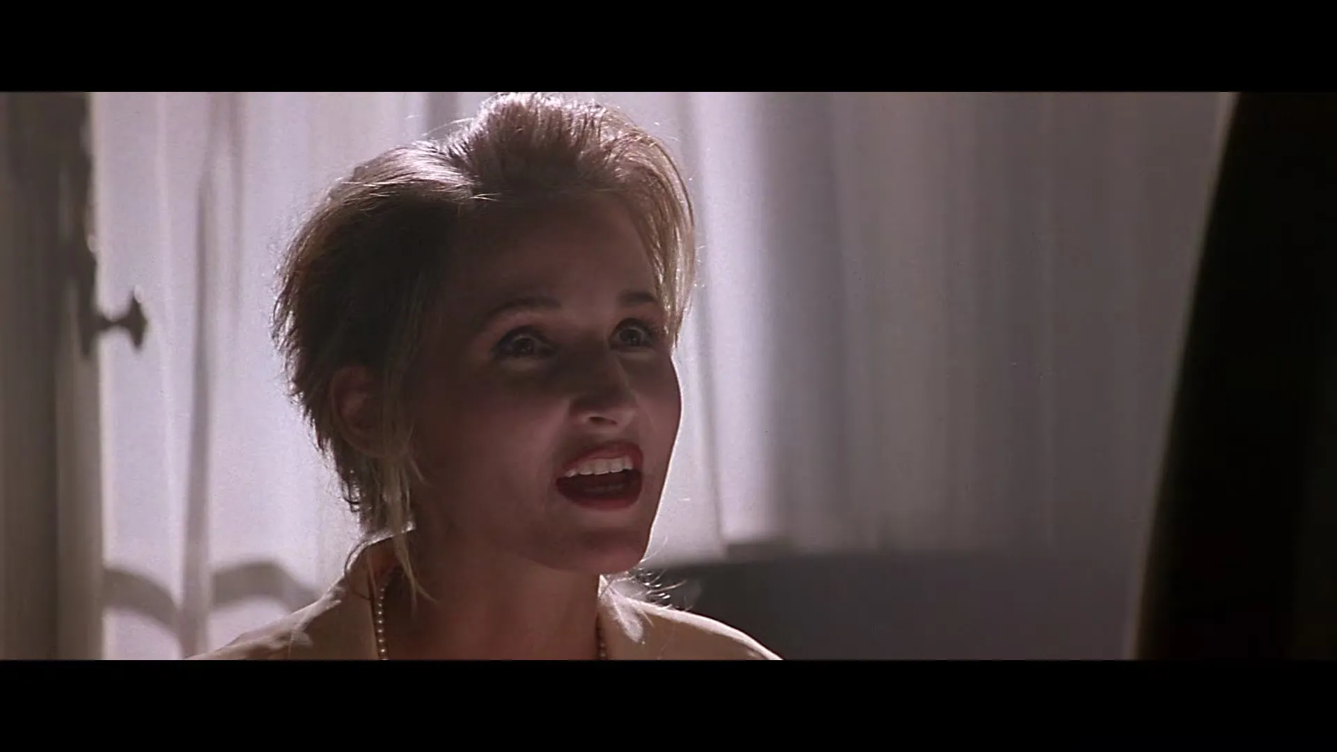 The Fan (1996)