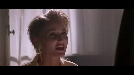 The Fan (1996)