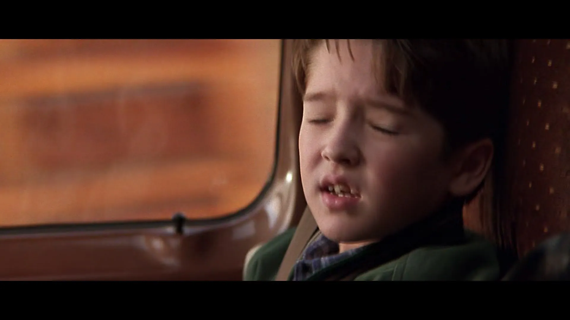 The Fan (1996)