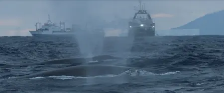 Ocean with David Attenborough (2025)