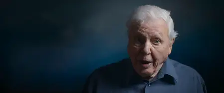 Ocean with David Attenborough (2025)