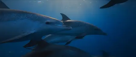 Ocean with David Attenborough (2025)