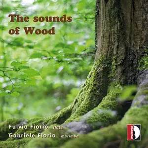 Fulvio Fiorio & Gabriele Fiorio - The Sounds of Wood (2024) [Official Digital Download 24/88]