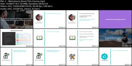 OpenAPI (Swagger) Specification for Software Developers