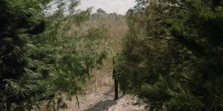 The Walking Dead: Dead City S02E03