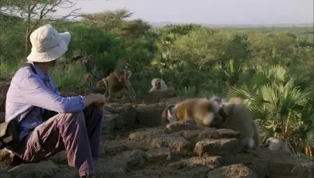 BBC Natural World - Living with Baboons (2012)