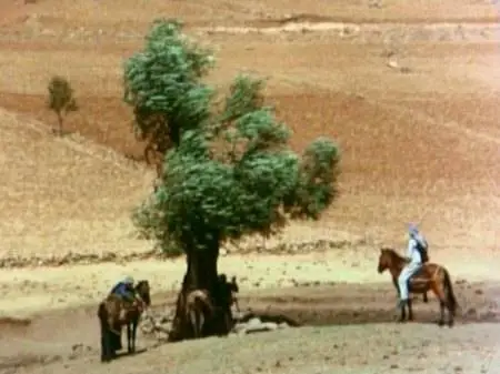Yılmaz Güney-Sürü ('The Herd') (1978)