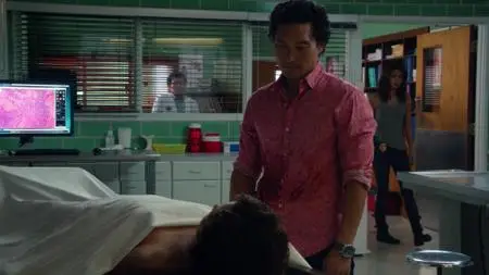 Hawaii Five-0 S03E01