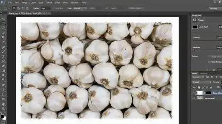 Photoshop CS6: Selections and Layer Masking