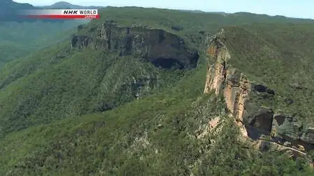 NHK - Great Nature: The Blue Mountains of New South Wales (2014)