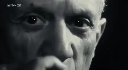 (Arte) Picasso, l'inventaire d'une vie (2014)