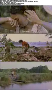 Floating Lives (2009)