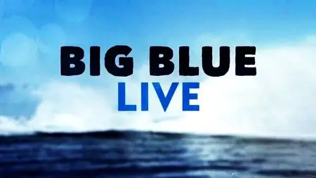 BBC - Big Blue Live: 2015