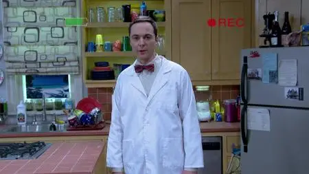 The Big Bang Theory S11E06