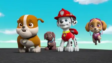 PAW Patrol S05E12