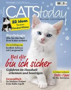 Cats Today – November 2019