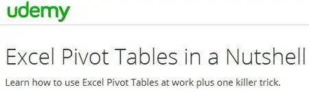 Excel Pivot Tables in a Nutshell