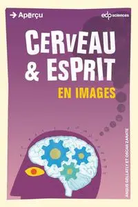Cerveau et esprit en images - Angus Gellatly