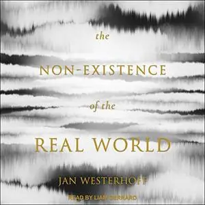 The Non-Existence of the Real World [Audiobook]