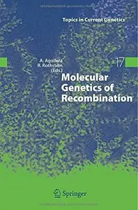 Molecular Genetics of Recombination (Topics in Current Genetics) by Andrés Aguilera