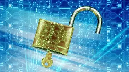Cybersecurity Mastery: Shield Yourself From Hackers With Pro