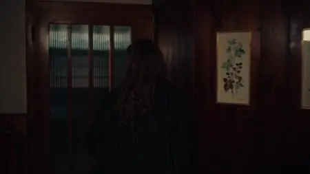 Vorstadtweiber S06E09