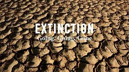 Doclights - Extinction: Going, Going, Gone (2020)