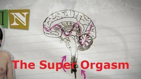 Channel 4 - The Super Orgasm (2017)