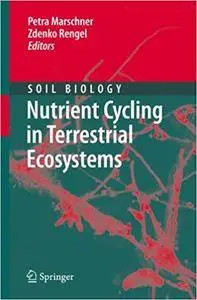 Nutrient Cycling in Terrestrial Ecosystems (Repost)