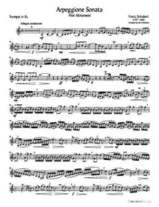 Arpeggione Sonata (1st movement)