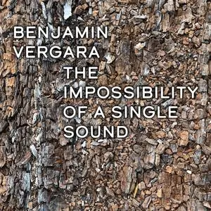 Benjamín Vergara - The Impossibility of a Single Sound (2023) [Official Digital Download]