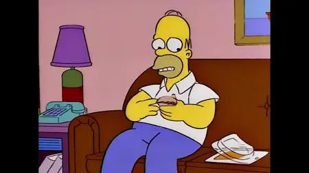 Die Simpsons S05E13