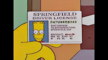 Die Simpsons S07E20