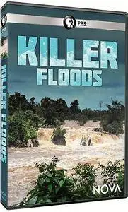 PBS NOVA - Killer Floods (2017)