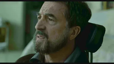 Quasi Amici (2011)