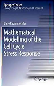 Mathematical Modelling of the Cell Cycle Stress Response