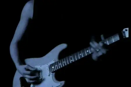 Metallica - The Videos  1989-2004 (2006) REPOST