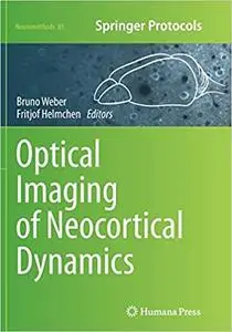 Optical Imaging of Neocortical Dynamics