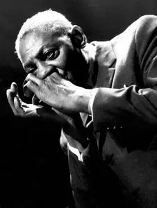 Sonny Boy Williamson - One Way Out (1975)