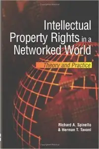 Intellectual Property Rights in a Networked World: Theory and Practice (Repost)