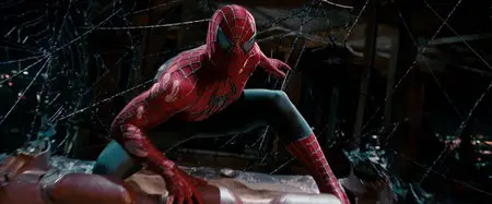 Spider-Man 3 (2007)