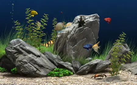 Dream Aquarium 1.2415 Screensaver