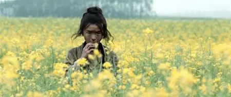 Little Big Soldier (2010)