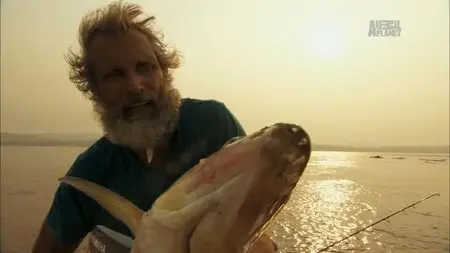Discovery Channel - Tigerfish: Africa's Piranha (2014)